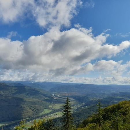Tisina Tare Villa Bajina Basta Bagian luar foto