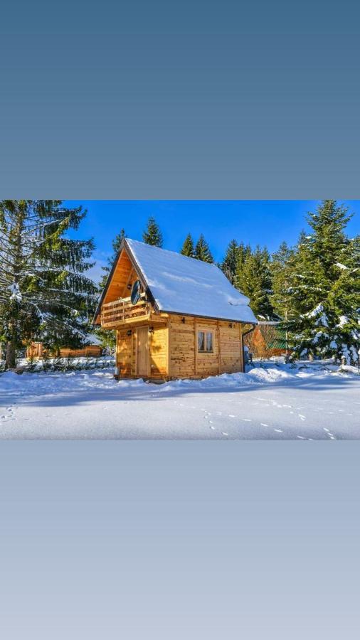 Tisina Tare Villa Bajina Basta Bagian luar foto