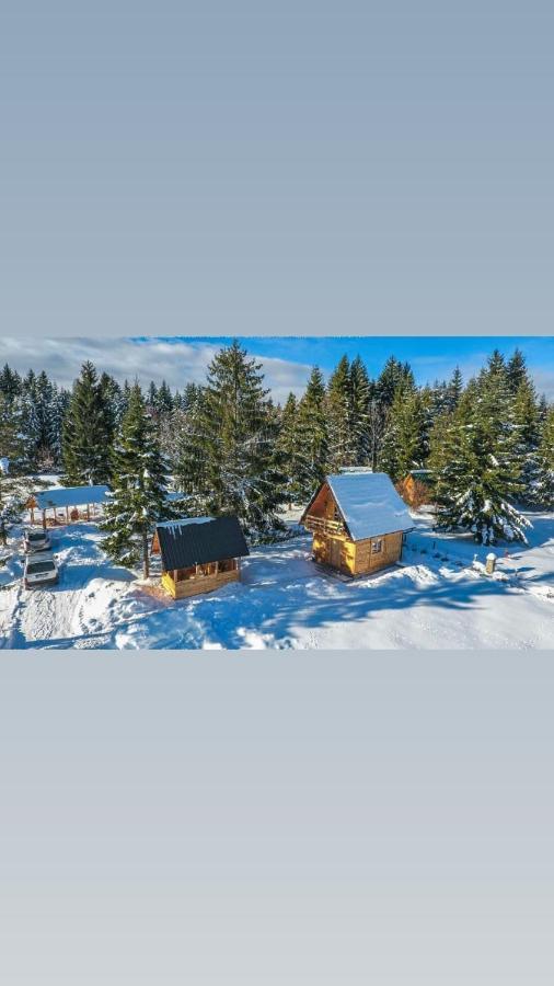 Tisina Tare Villa Bajina Basta Bagian luar foto
