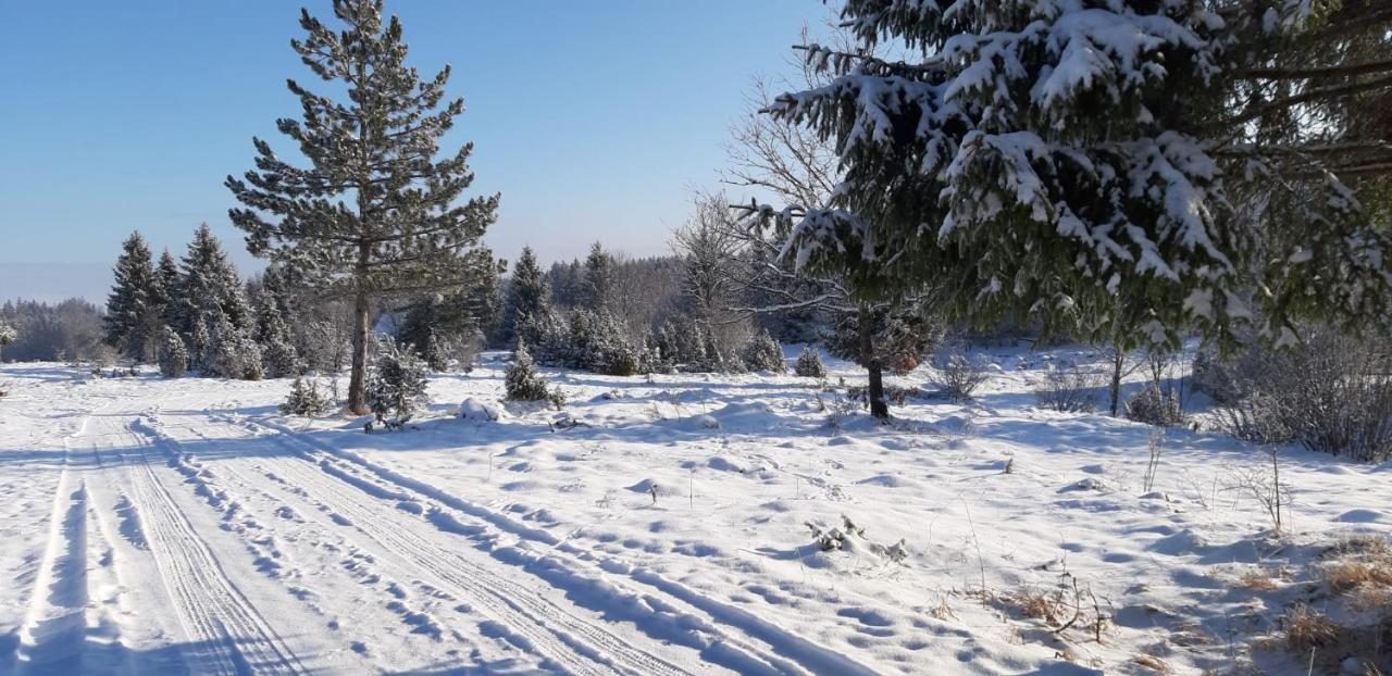 Tisina Tare Villa Bajina Basta Bagian luar foto