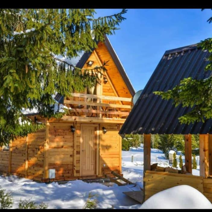 Tisina Tare Villa Bajina Basta Bagian luar foto