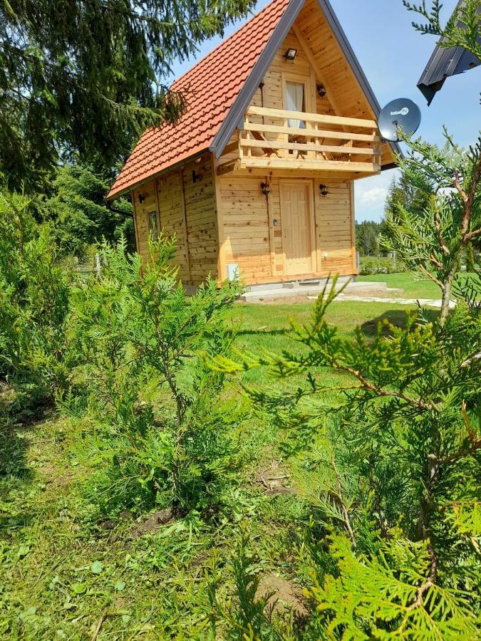 Tisina Tare Villa Bajina Basta Bagian luar foto