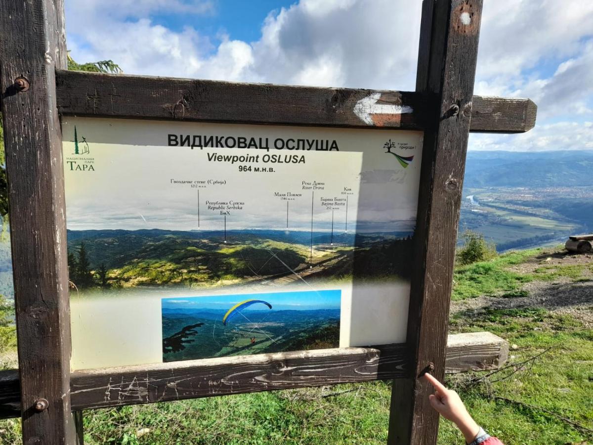 Tisina Tare Villa Bajina Basta Bagian luar foto